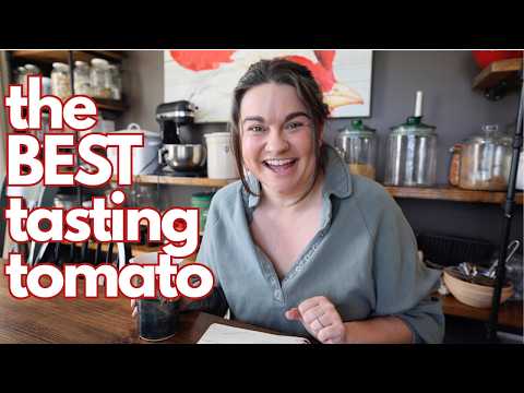 Tomato Flavor Guide: Best Varieties by Taste & Texture