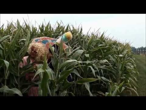 Zeemgilde 2012 Un Sjup, un Hak (...en un dieke Wievervot)