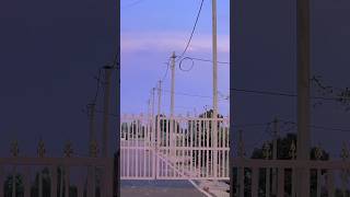 Download lagu me yha hu dekh to zara mp3