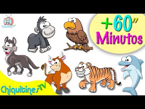 Sonidos de Animales 1 hora mágica de CANCIONES INFANTILES 🎉👶 ¡Diversión sin parar!
