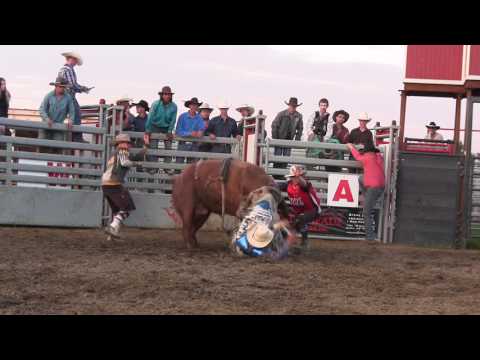 Wreck: Travis Warburton gets camped on by Homeboy