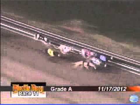 Slatex Pluto #8 Bluffs Run Nov 17 2012 Race 11