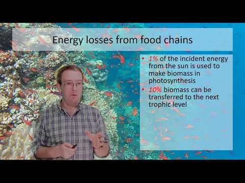 GCSE Biology: Ecosystems - 2 Biomass Transfers