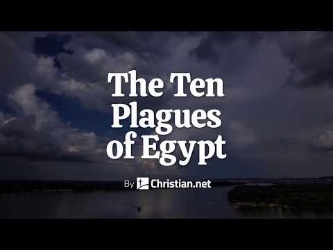 Exodus 7- 11: The Ten Plagues Of Egypt | Bible Story (2020)