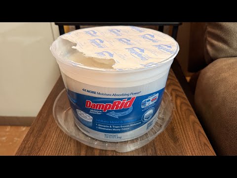 DampRid Hi-Capacity Moisture Absorber Bucket Review