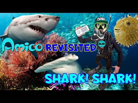 INTELLIVISION AMICO Revisited - SHARK! SHARK!