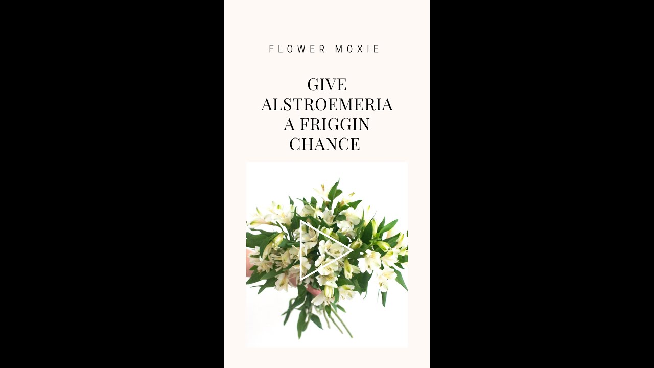 Give Alstroemeria a CHANCE!