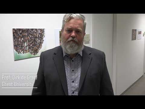 B-GOOD's progress: part 1 (Introduction)