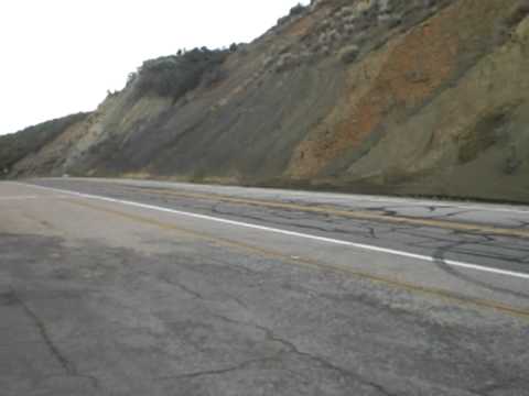 los osos Montañeses