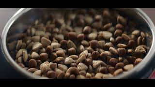 SUPERCOAT® TRUE ORIGIN® | WHAT YOUR DOG INSTINCTIVELY NEEDS