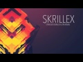 Skrillex - Stranger (Skrillex Ultra Remix)