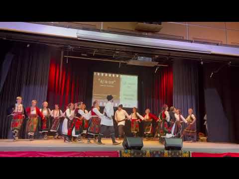 Kud bambi Bec 29.11.2025- bambi plus 