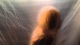 Celebration - Razor's Edge