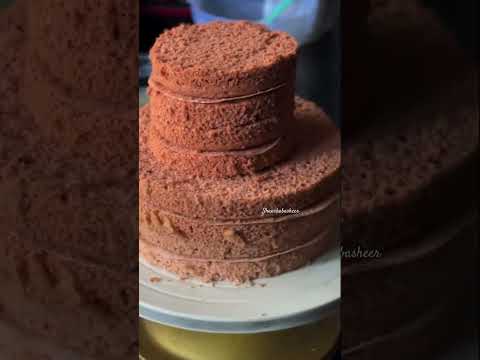 2tyr chocolate cake #viralvideo #cake #ownerbyjaazbake