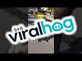 Man Intervenes In Street Cat Standoff ViralHog