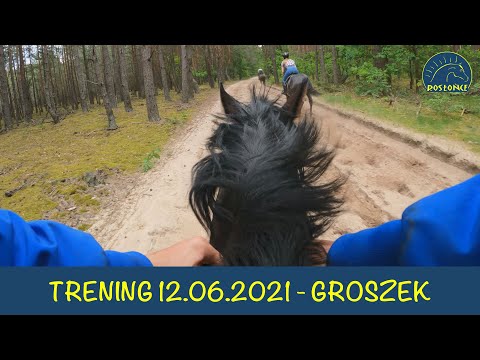 Trening koni wyścigowych Groszek / Szczepan Mazur - Stajnia Rosłońce 12.06.2021 r.