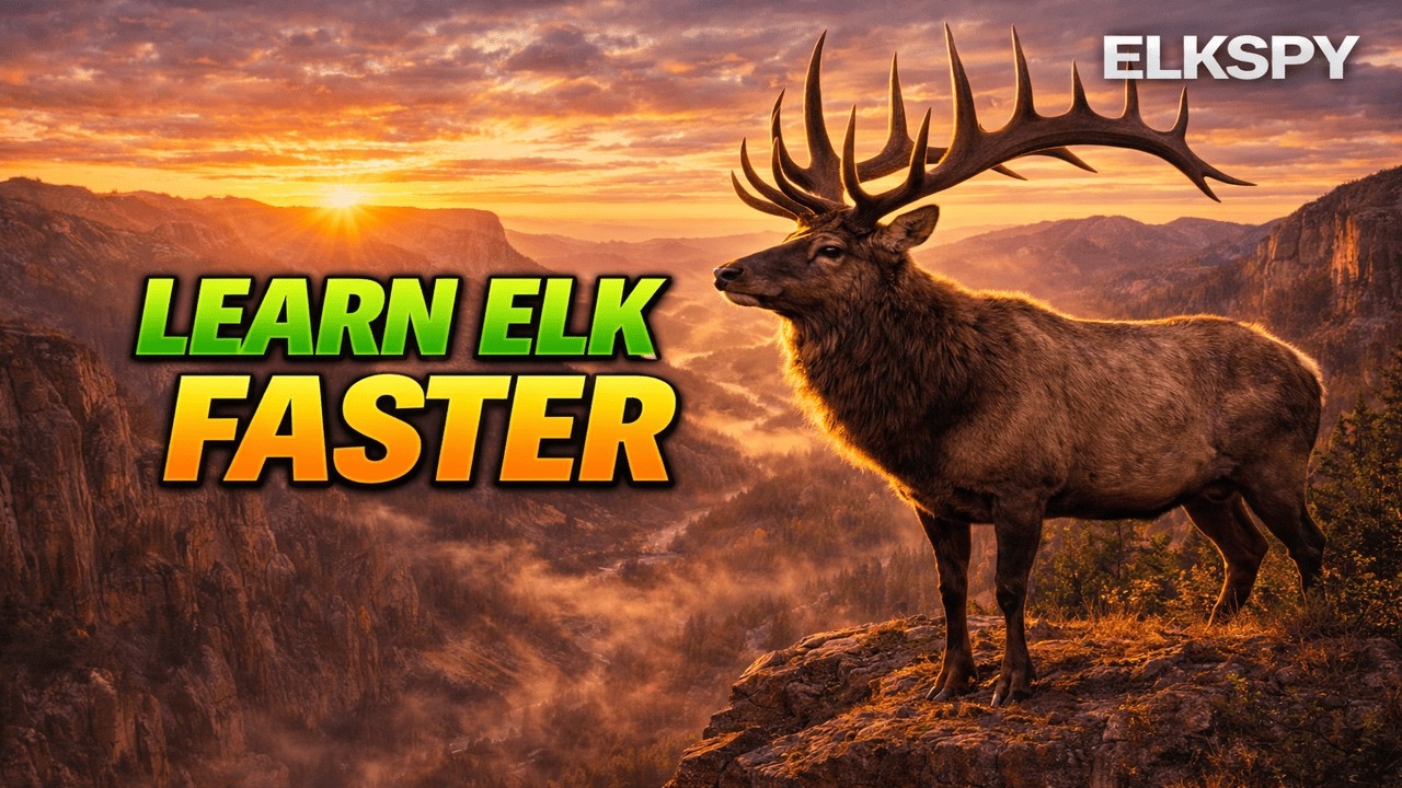 How to Get Better at Elk Hunting Faster - Beginner Strategy - Find Bulls in Oregon & Washington