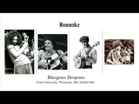 Roanoke - Bluegrass Dropouts