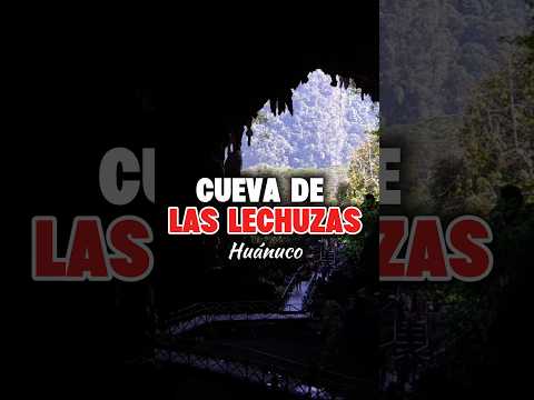 La INCREIBLE cueva de las LECHUZAS  en Tingo Maria! 🌴🇵🇪🥰 #lugaresincreibles