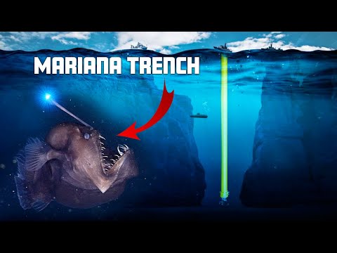Mariana Trench | Record-breaking journey to the bottom of the ocean