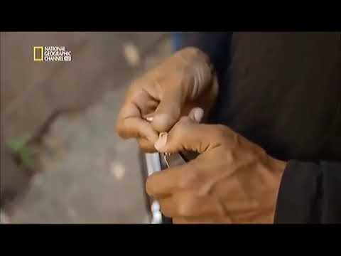 reportage choc 2025 LA VIOLENCE DES GANGS JAMAÏCAINS(cartels,marijuana et cocaïne)👍🔔👈😉