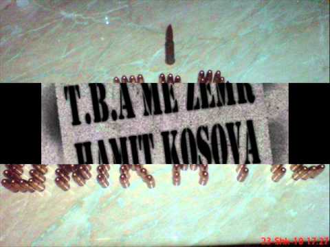 PraniM'G   T'qim't e nans