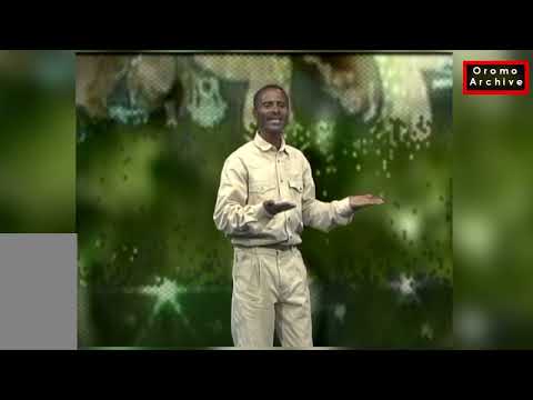 Oromo music 2023 Taaddasaa fiixee 'Shoolee' Oldies Video Clip. Tadese Fite Oromo music Video Clip.