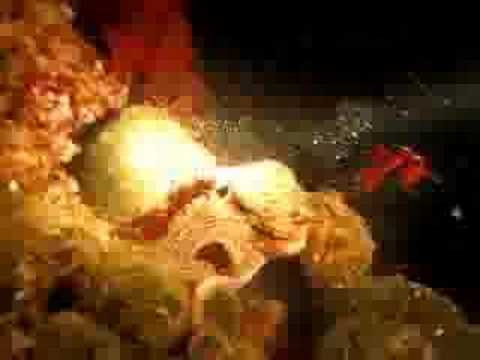 Octopus, Moscenicka Draga,Kroatien