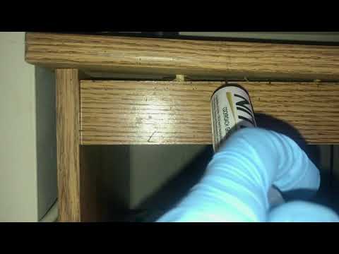 Controlling Cockroaches in Jackson, NJ