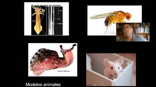 Introducción a la Neurociencia - 27/7