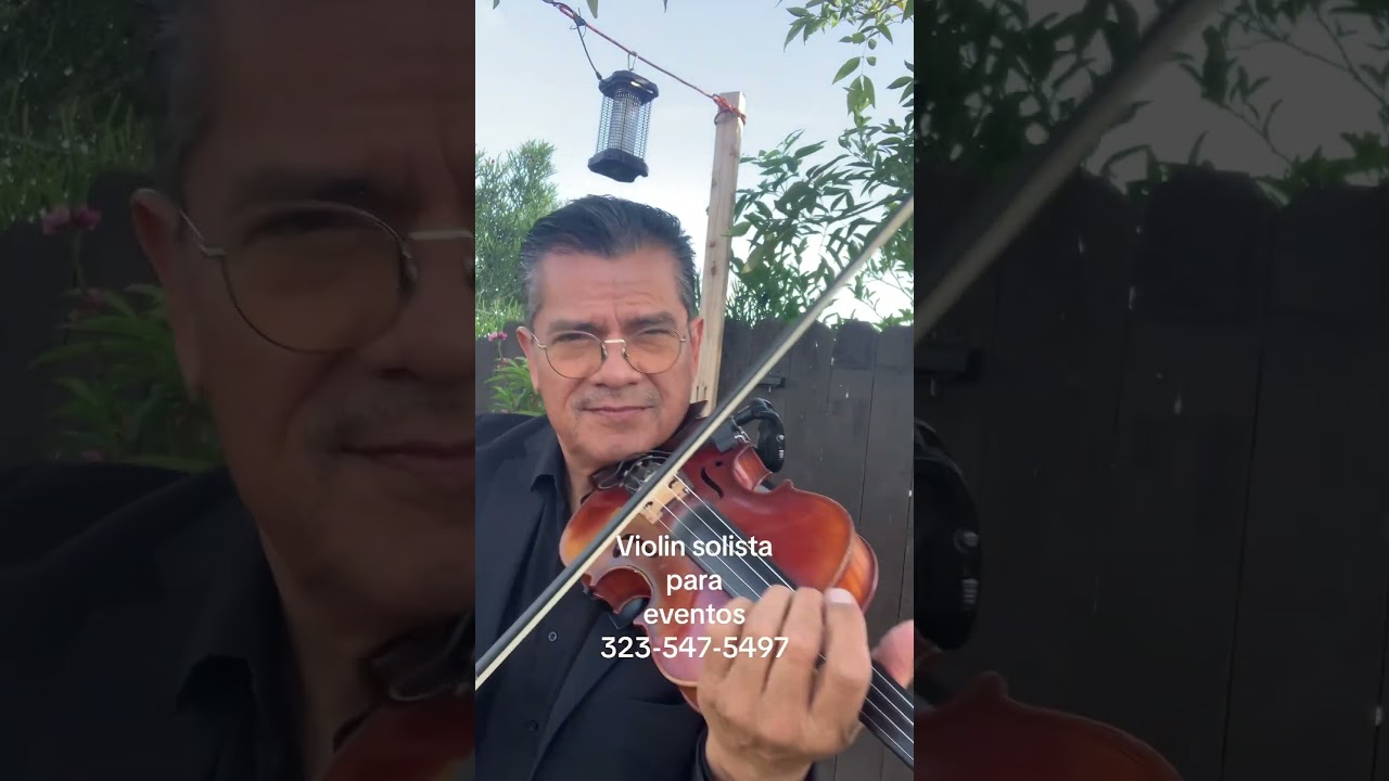 Promotional video thumbnail 3 for Alfonso - Violinist