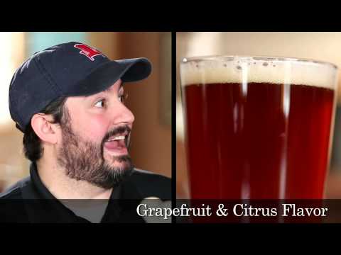 Beer of the Week: Lake Placid IPA