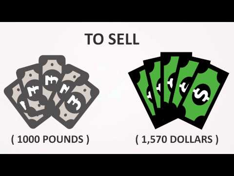 ROYAL FX TRADING INFOGRAPH