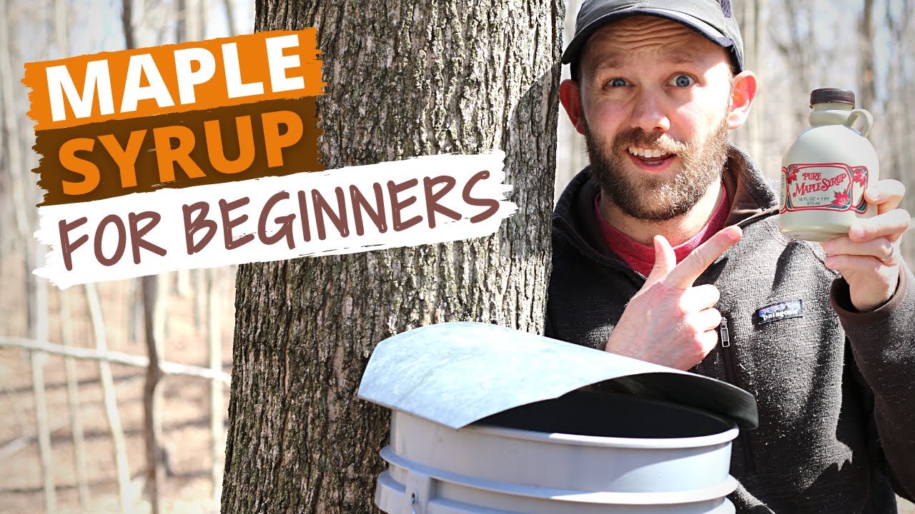 How To Make Maple Syrup (Small Batch Syrup For Beginners)