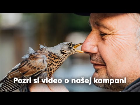 Divoké zvieratá potrebujú pomoc. Prispej aj ty na Záchrannú stanicu v Zázrivej.