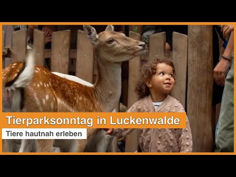 Tiere hautnah erleben | Tierparksonntag in Luckenwalde