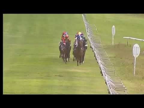 2020.02.01 Western Cape Stayers (RSA) - Silver Host