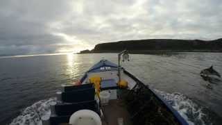 preview picture of video 'CULLEN GOPRO 2014 - Moray-Scotland -watch in HD'