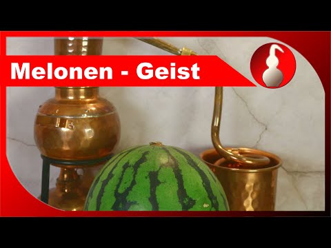 Melonen-Geist - kann man Wassermelone destillieren? Schnaps selber brennen - diSTILLed