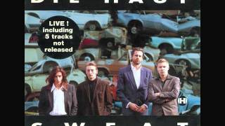 die haut feat. nick cave: sad dark eyes