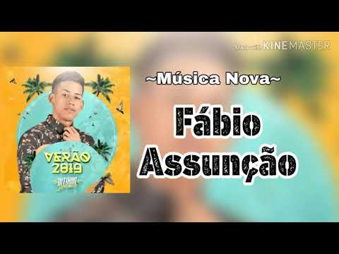 VITINHO POLÊMICO - FÁBIO ASSUNÇÃO - VERÃO 2019