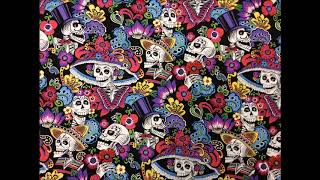 Meridian Brothers - Slow Guaracha (Lucas Alves Edit)