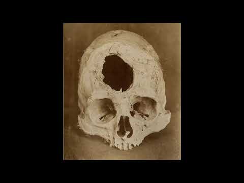 Navio Forge - A Hole Into