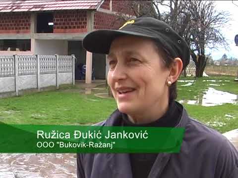 NAŠA SELA, OSNOVNE ODGAJIVAČKE ORGANIZACIJE