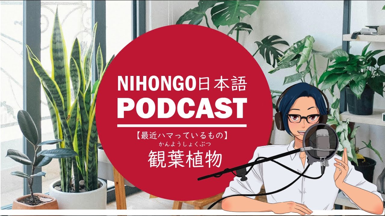 最近ハマっているコト：「🌻観葉植物🪴」 (Japanese Radio for Listening Practice)