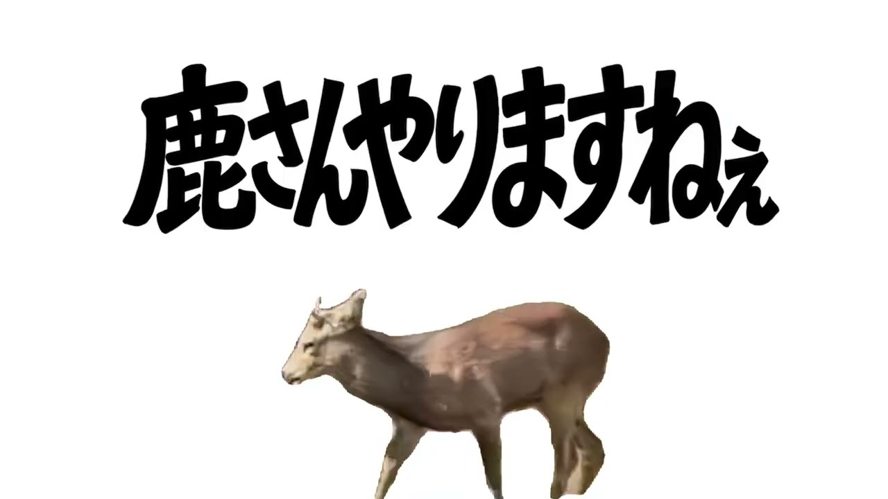 鹿さんよろこんで【音MAD】