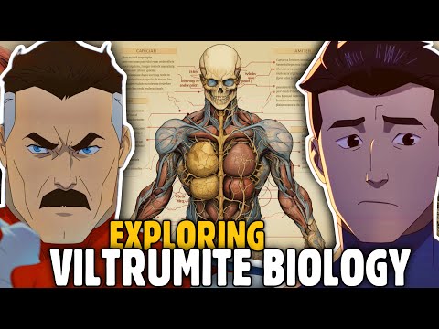 Anatomy Of OMNI MAN & INVINCIBLE | Viltrumites History & Biology Explored | Invincible Season 3