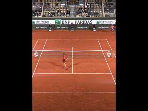 Djokovic's Reaction to This Shot 😮