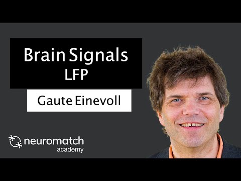 Brain Signals: LFP