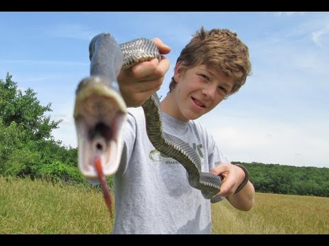 YouTube Video PwkwuqMx9iE